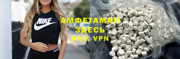 мет Алексин