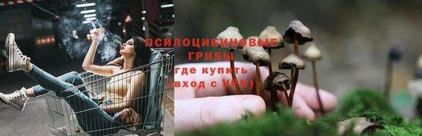 соль ск Алексеевка