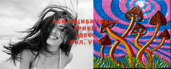 гашик Алзамай