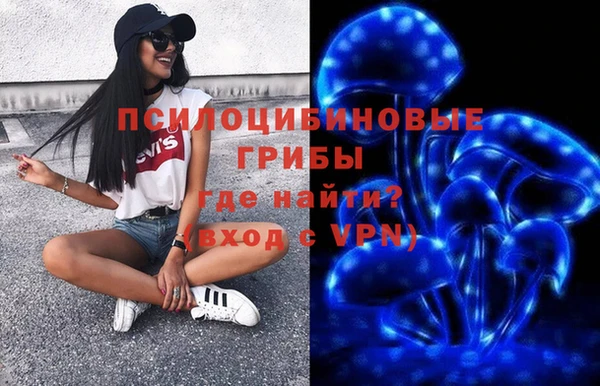 гашик Алзамай