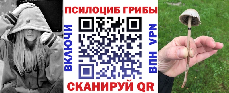 mega маркетплейс  наркотики  Одинцово  Галлюциногенные грибы мухоморы 
